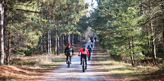 Global Fat Bike Day at Hummingbird Retreat